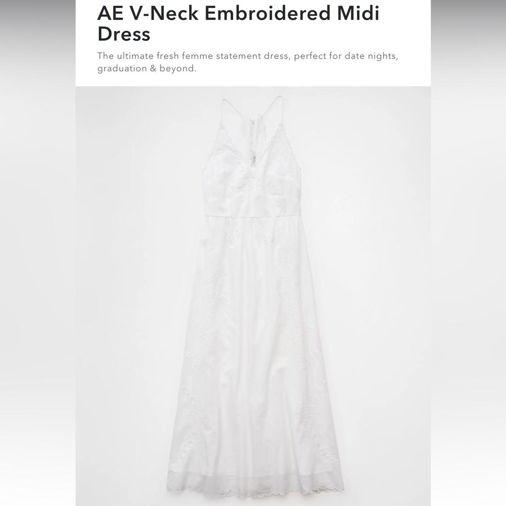 NWOT AE V-Neck Embroidered Midi Dress